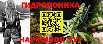 spice Ачхой-Мартан