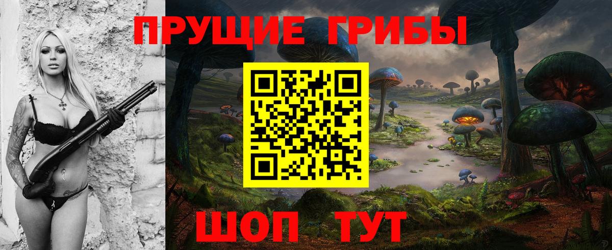 Галлюциногенные грибы Cubensis Калининград