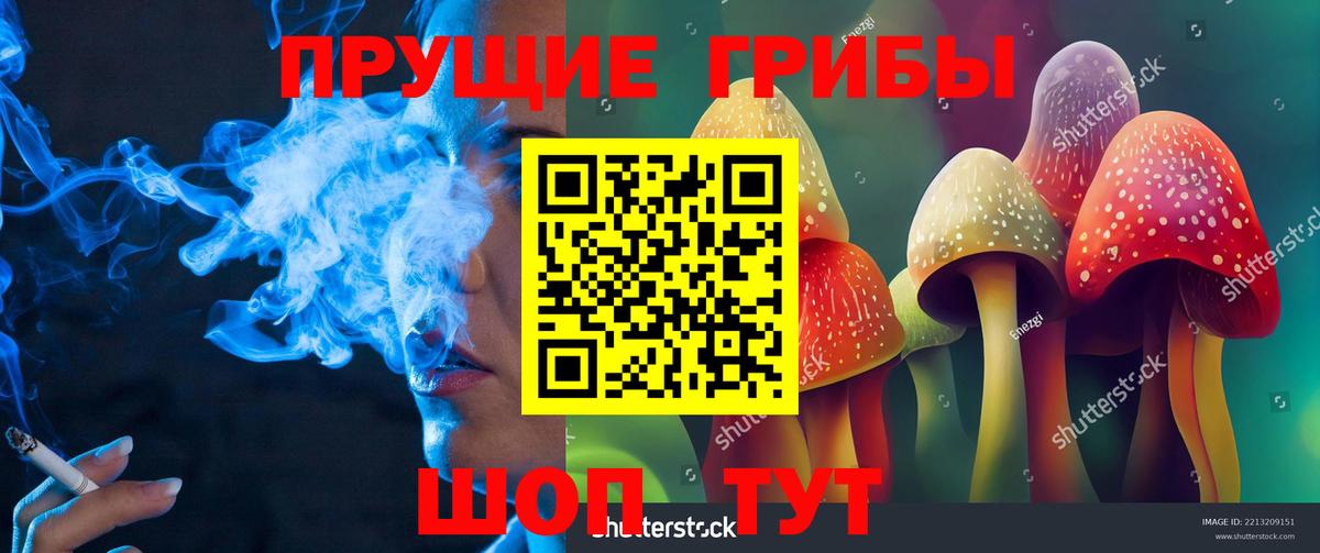 Псилоцибиновые грибы Magic Shrooms  Вход с VPN  Калининград  Галлюциногенные грибы прущие грибы 